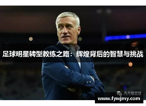 足球明星转型教练之路：辉煌背后的智慧与挑战