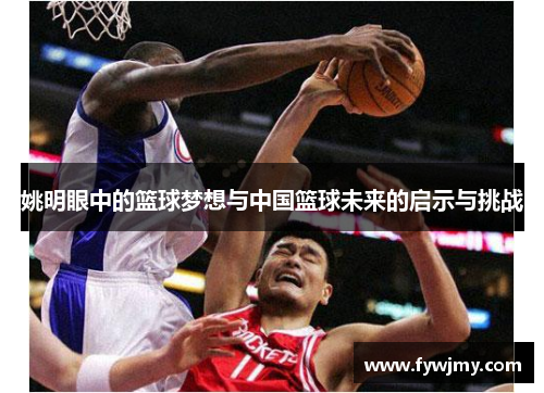 姚明眼中的篮球梦想与中国篮球未来的启示与挑战