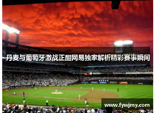丹麦与葡萄牙激战正酣网易独家解析精彩赛事瞬间