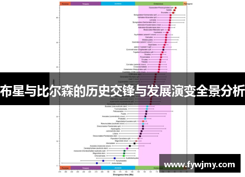 布星与比尔森的历史交锋与发展演变全景分析